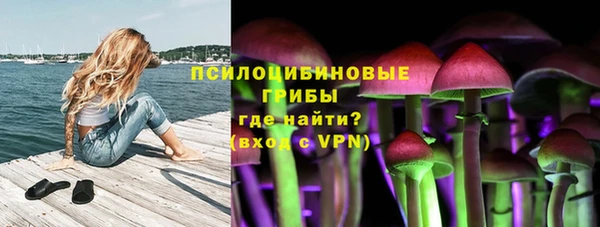 МДПВ Осташков