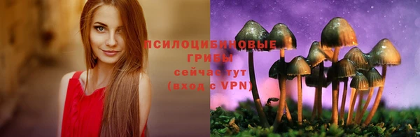 МДПВ Осташков