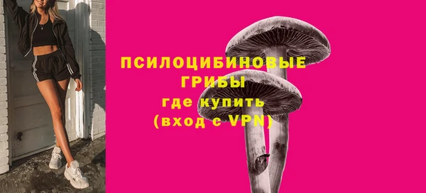 бутират Осинники