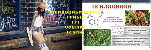 МДПВ Осташков