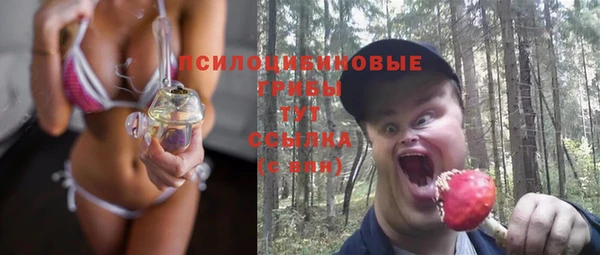 МДПВ Осташков
